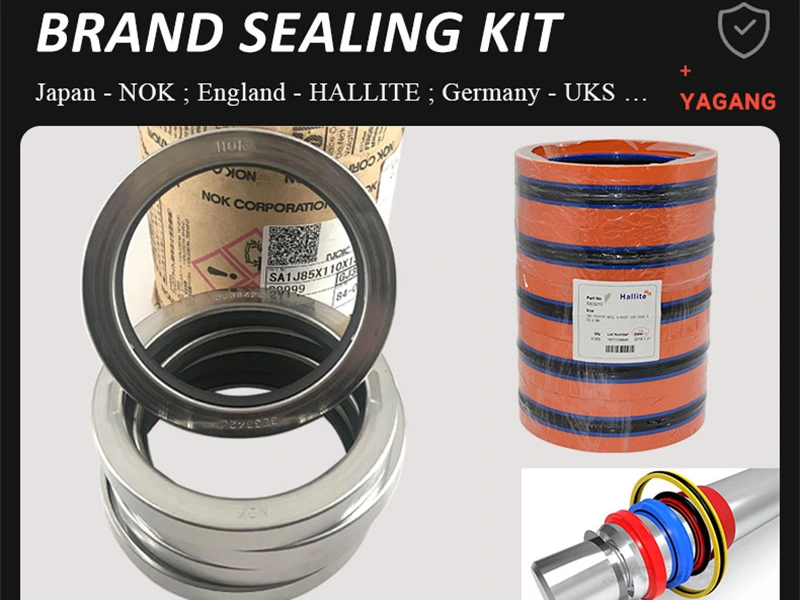 Wear Rings (Guide Rings) – Not Seals but Essential