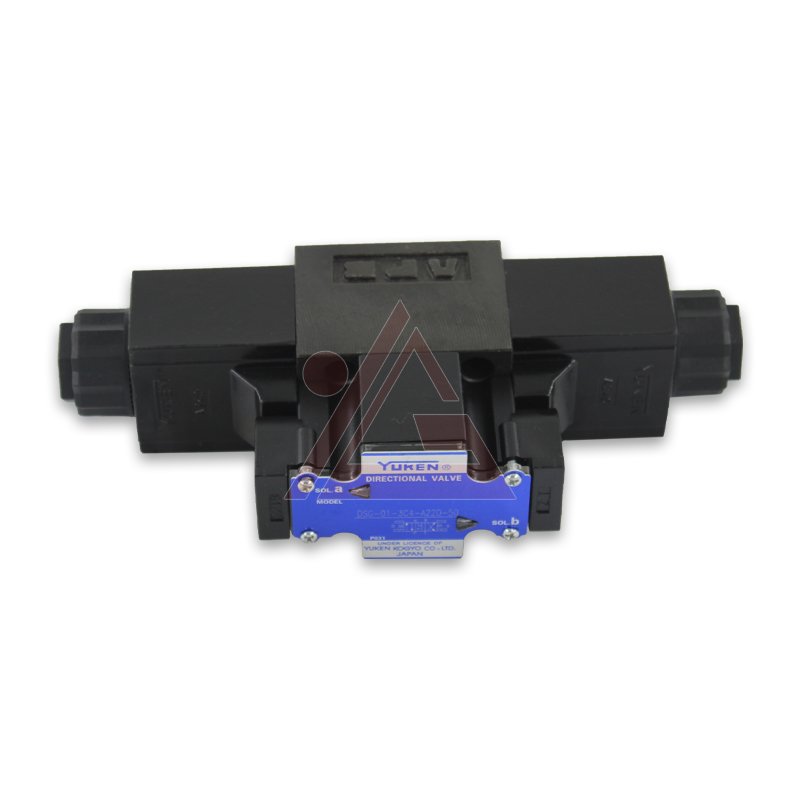 DSGSER~1