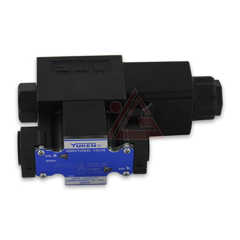 E-DSGS~1