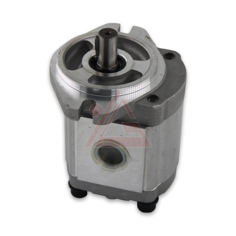Versatile Fluid Handling YEOSHE PR3 Series PR313RX14BDP1 High Pressure Gear Pump-2