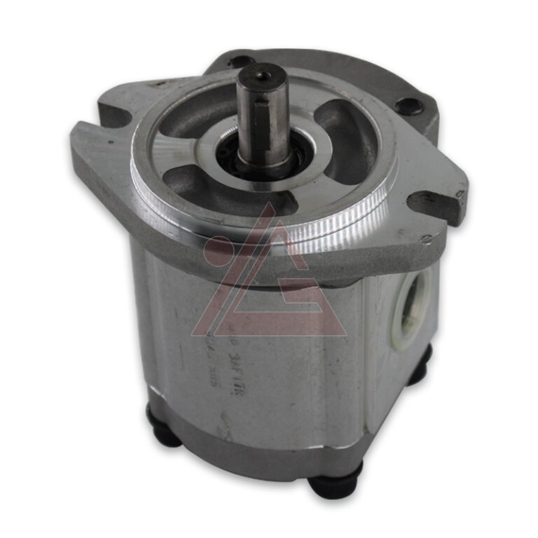 Versatile Fluid Handling YEOSHE PR3 Series PR313RX14BDP1 High Pressure Gear Pump-3